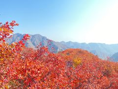 -周口店坡峰岭风景区