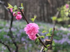 -香山公园-东宫门售票处