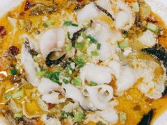 老坛酸菜鱼-食为先(中山七路店)