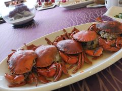 -欢乐海岸美食联盟