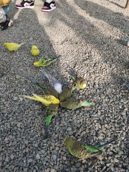 -萌宠亲子动物乐园(槐房万达店)