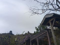 -缥缈峰景区