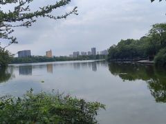 -成都南湖公园