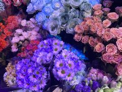 -大自然花鸟鱼虫市场