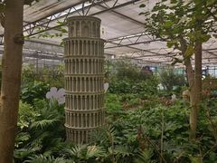 -南宫五洲植物乐园