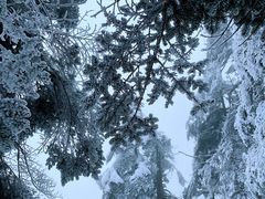 -瓦屋山景区