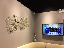 -三只熊皮肤管理中心
