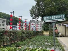 -湘力力小院·鱼汤泡饭(枫林路店)