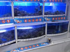 -黄记大闸蟹专卖店·活蟹·醉蟹