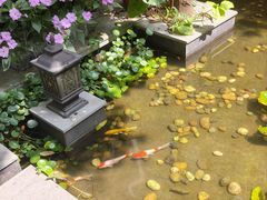 -绿房子方寸咖啡(星海名城店)