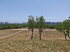 -汉长安城未央宫国家考古遗址公园