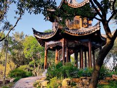 -上海市保健医疗中心