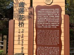 -大湾区中央湿地公园