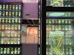-广东中医药博物馆