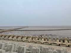 -南汇嘴观海公园