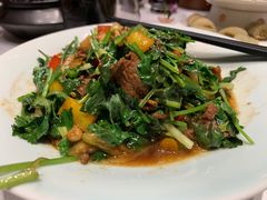 香菜牛肉-广东道至正餐厅(区庄店)