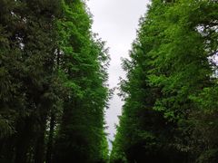 -山王坪喀斯特国家生态公园