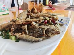 -百丈农家
