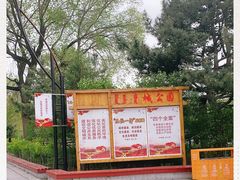-青城公园