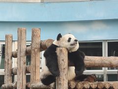 -大连森林动物园