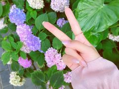 -边渡咖啡烘焙店(昙华林店)