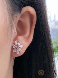 -VE DIAMOND·天然&培育钻石定制