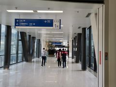 -首都医科大学附属北京天坛医院