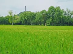 -北坞公园