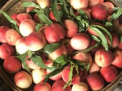 -渔太泰漓江小馆·广西融合菜(西街店)