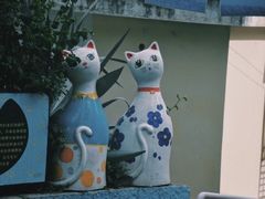 -猫咪博物馆(顶澳仔猫街店)