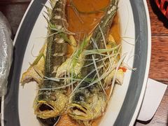 -前海沿·青岛菜(五四广场永旺店)