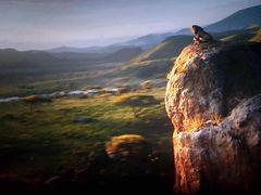 -幸福蓝海和乐影院(吴江吾悦广场店)