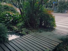 -成都市活水公园