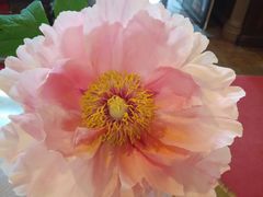 -北海道厅旧本厅舍(旧本庁舎)