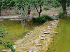 -沕沕水生态风景区