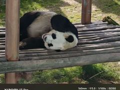 -栾川竹海野生动物园