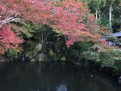 -醍醐寺