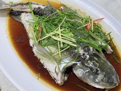 清蒸吊水鲩鱼-成惠食府(赤岗店)