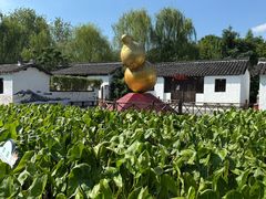 -溱湖国家湿地公园