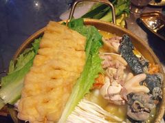 -Darling Queen·Mini·Live·House