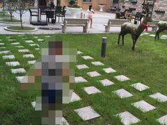 哈尔滨华特酒店-哈尔滨中央大街华特酒店