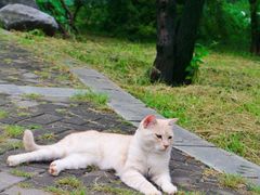 -国家植物园南园