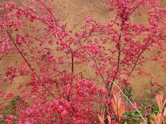 -叠溪松坪沟景区
