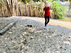 -威勒比开放式动物园