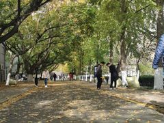 -山东师范大学(千佛山校区)