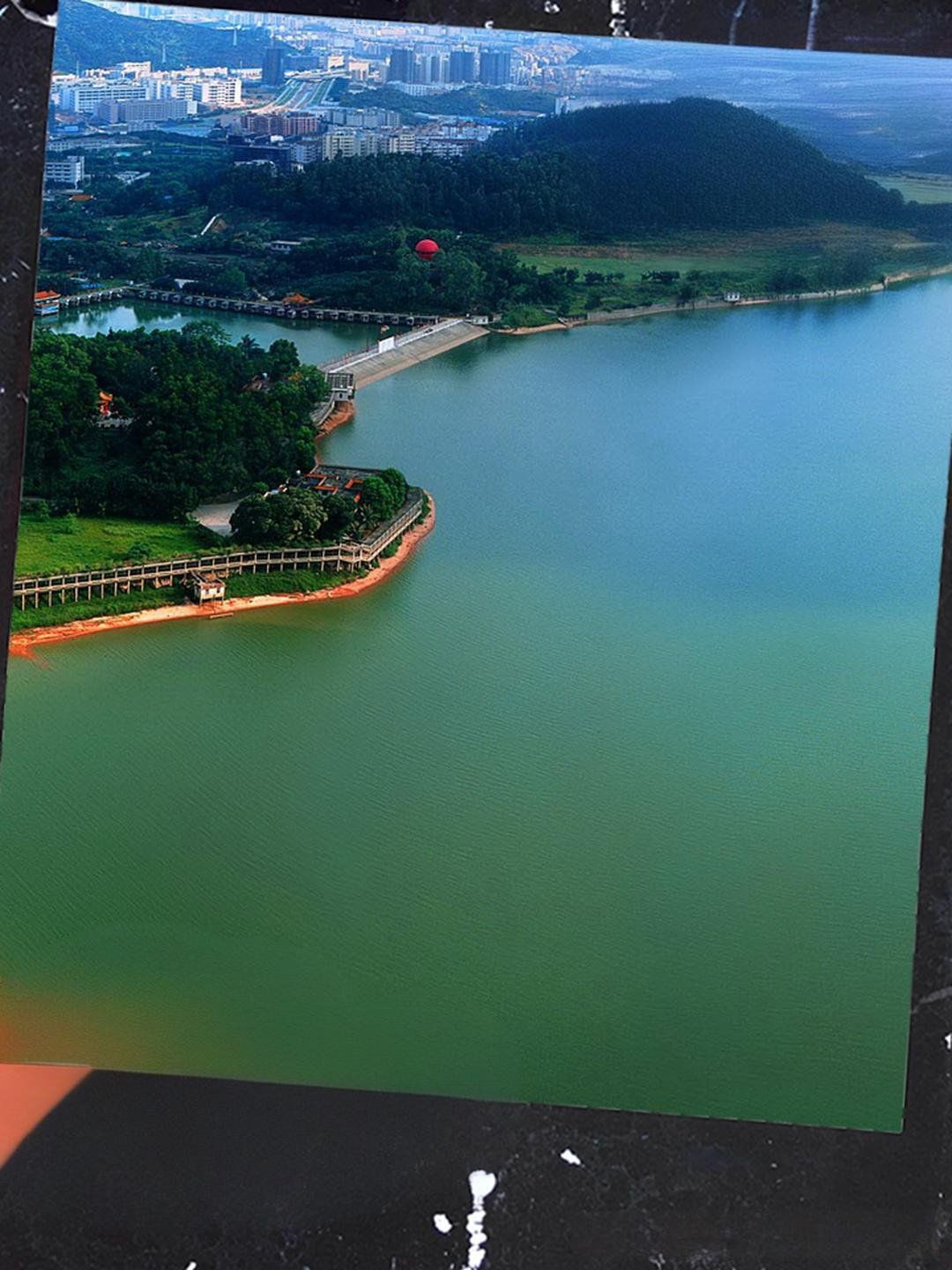 0元玩转这座城大南山,深圳南头半岛上的