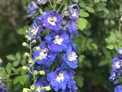 -春暖花开(西溪店)
