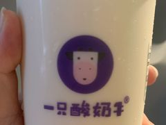 -一只酸奶牛(八一路店)