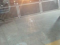 -黑龙江美食城(三角公园店)