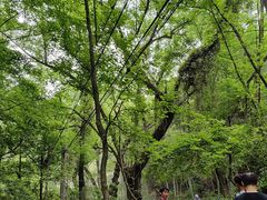 -会稽山峡洞漂流-上青古道